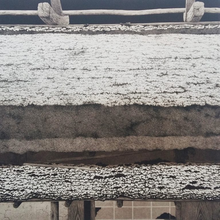 Tanaka Ryohei – Official Website